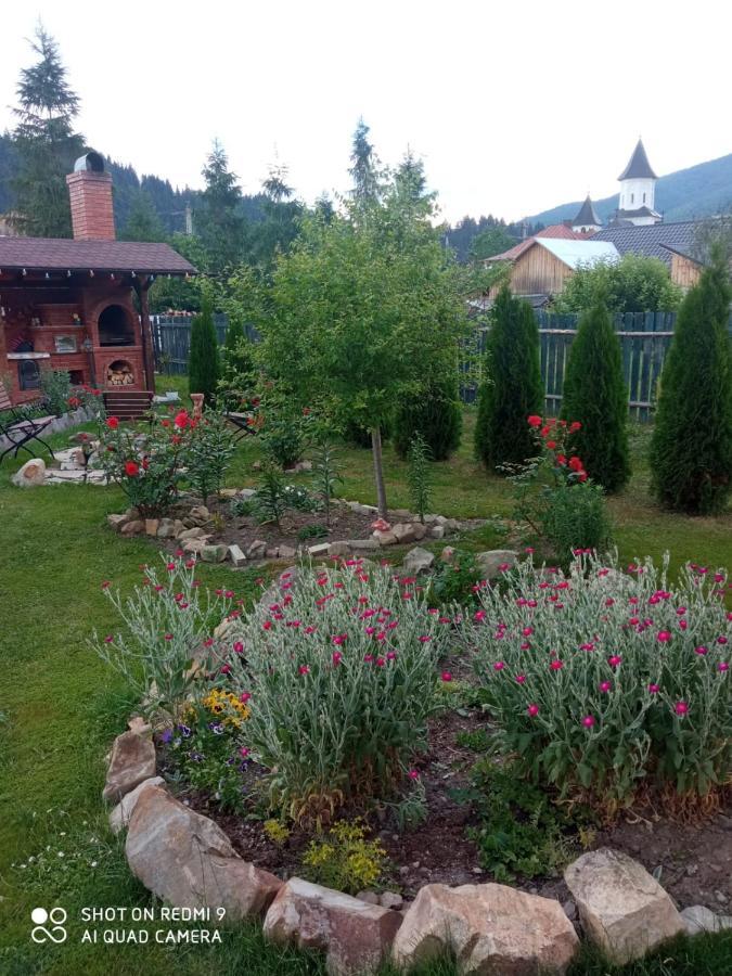 Casa Luca Bed & Breakfast Vama  Eksteriør bilde